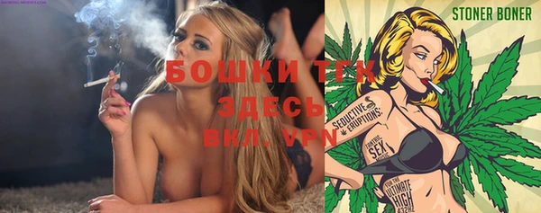 spice Арсеньев