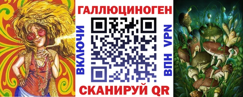 купить закладку  Гай  Галлюциногенные грибы MAGIC MUSHROOMS 