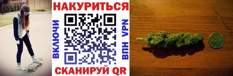 Канабис сатива  магазин продажи   Гай 